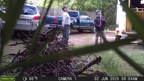cia-law-abiding-citizens-tree-trim.jpg